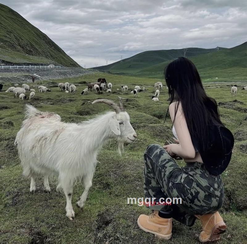 titiao的第1张照片