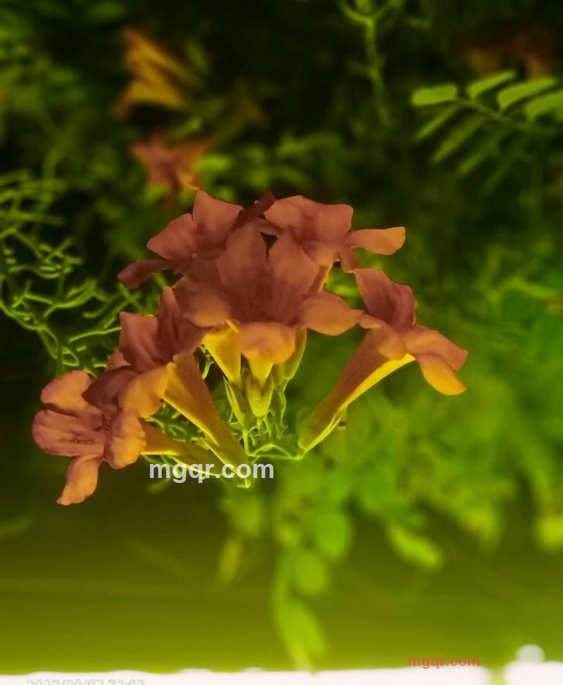 清沐的第9张照片