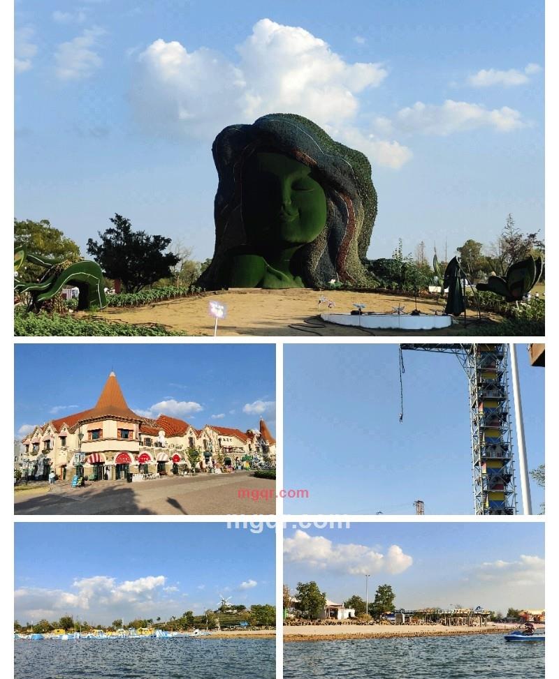 缘分的第4张照片