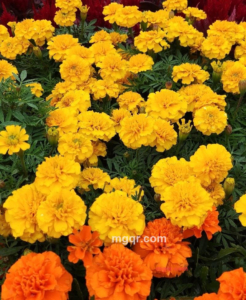 海林的第2张照片