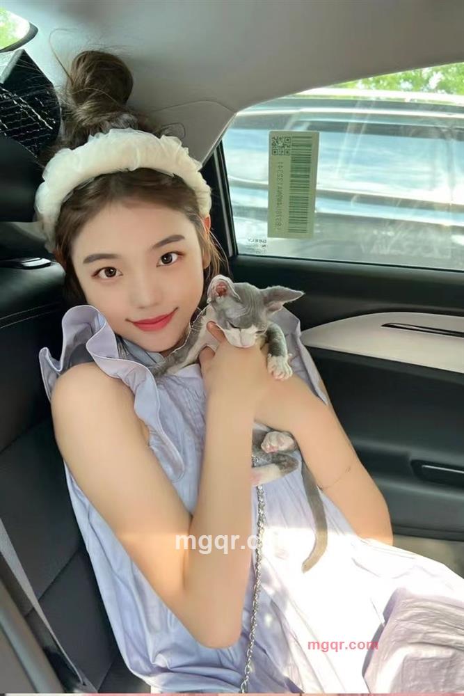 灰灰。的第1张照片