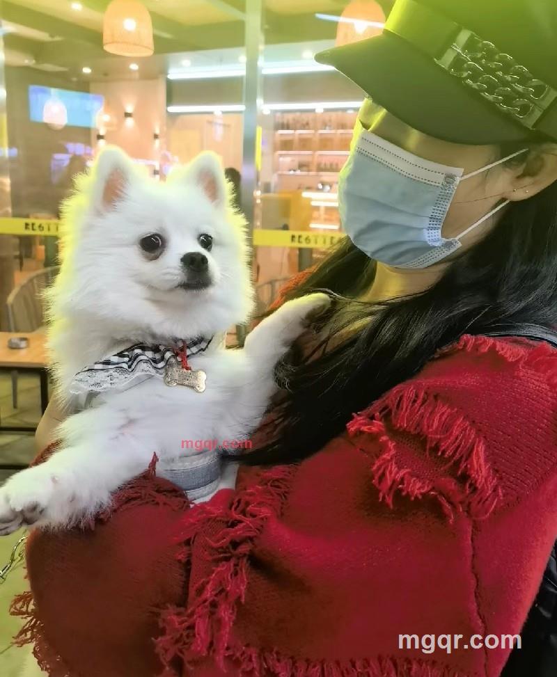 布丁的第1张照片