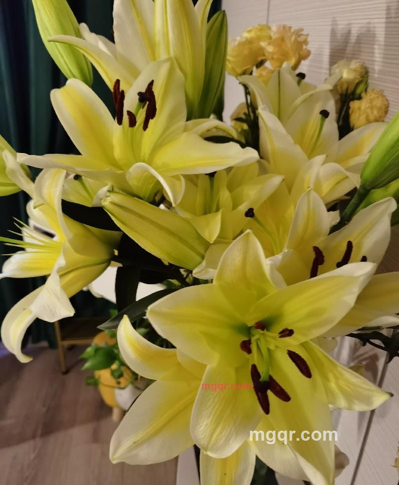 天使的翅膀的第7张照片