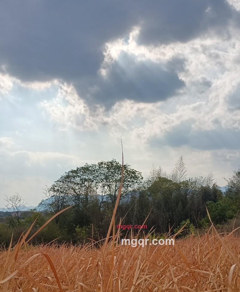 钟华.的第10张照片