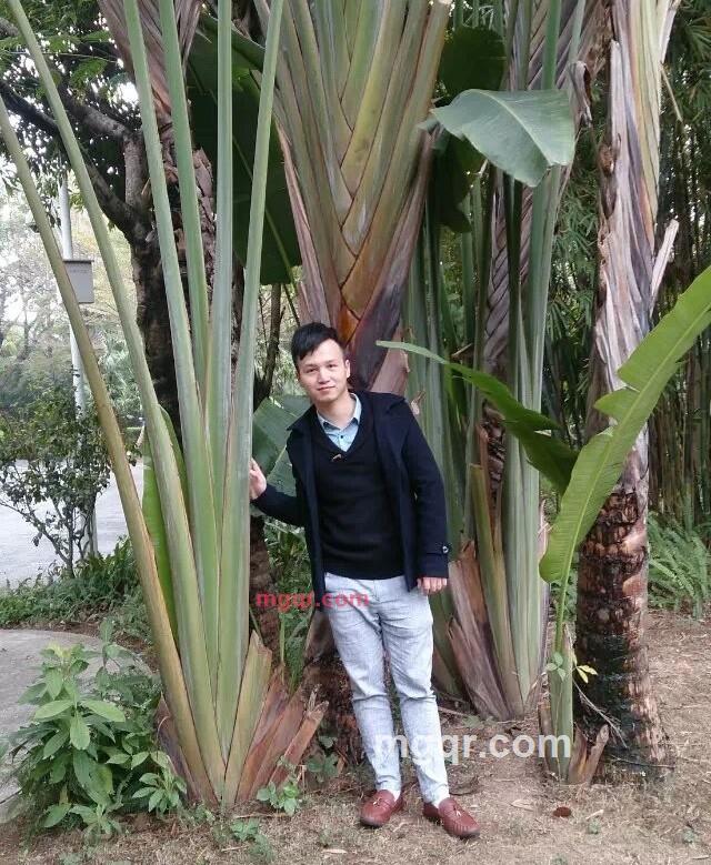 ??明强??的第1张照片