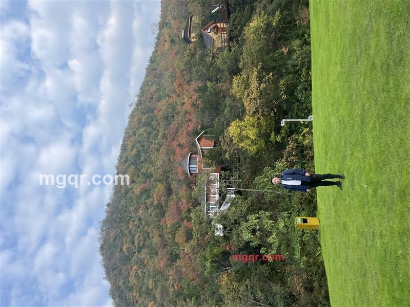 道法自然的第1张照片