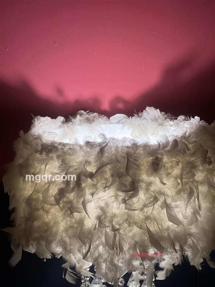 婉君的第1张照片