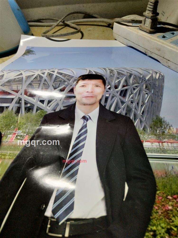 孤独的小鸟的第2张照片