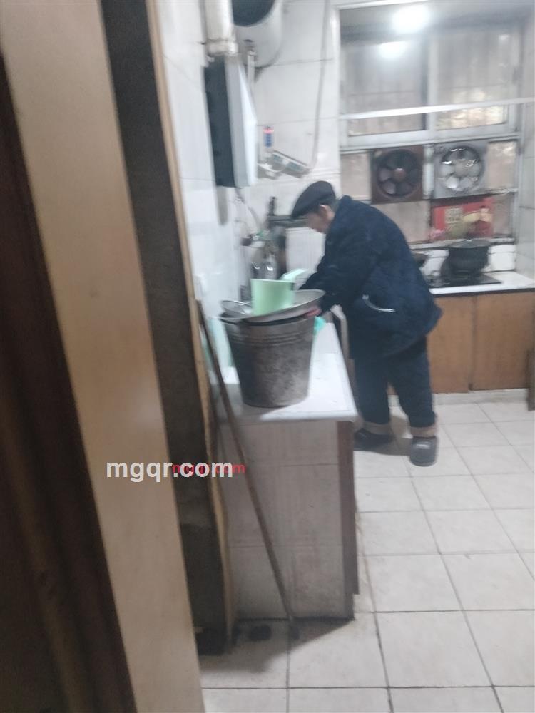 孤独的小鸟的第1张照片