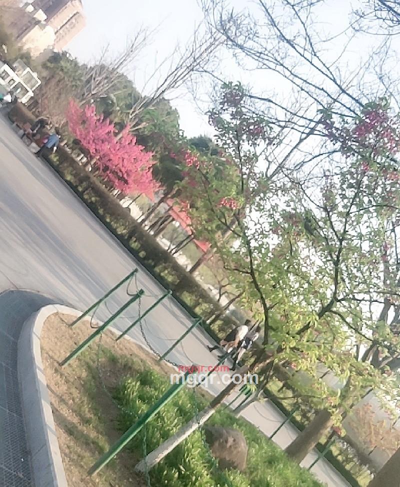 笑笑的第3张照片