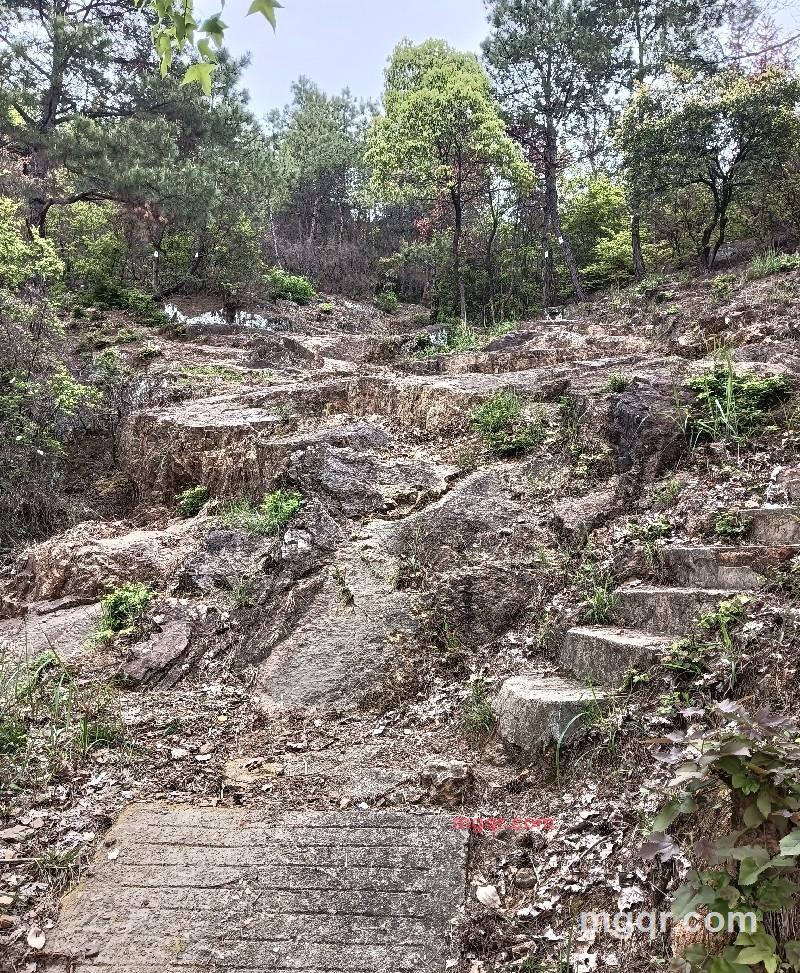 林林的第1张照片