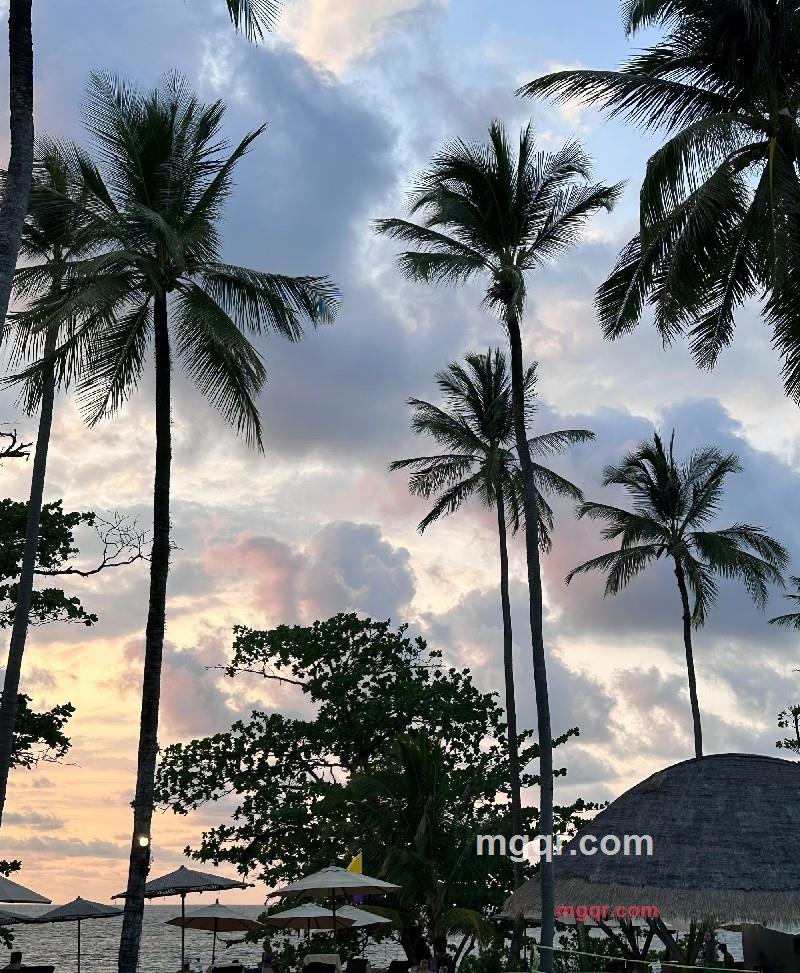 一只小小柚的第4张照片