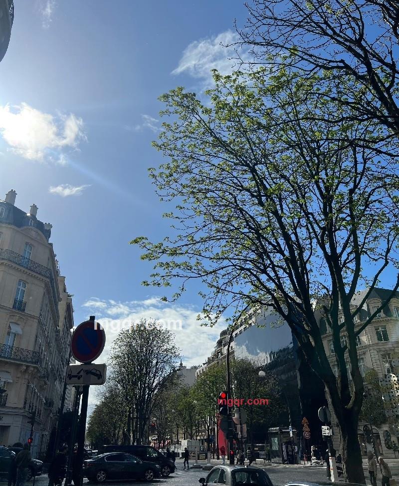 一只小小柚的第3张照片