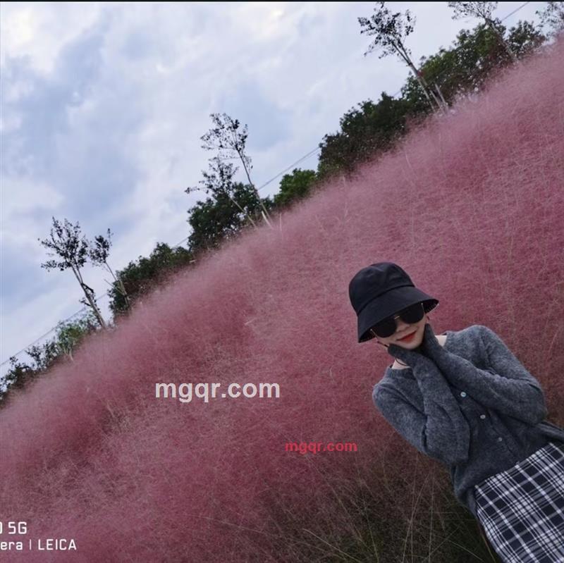 会员5367390的第1张照片