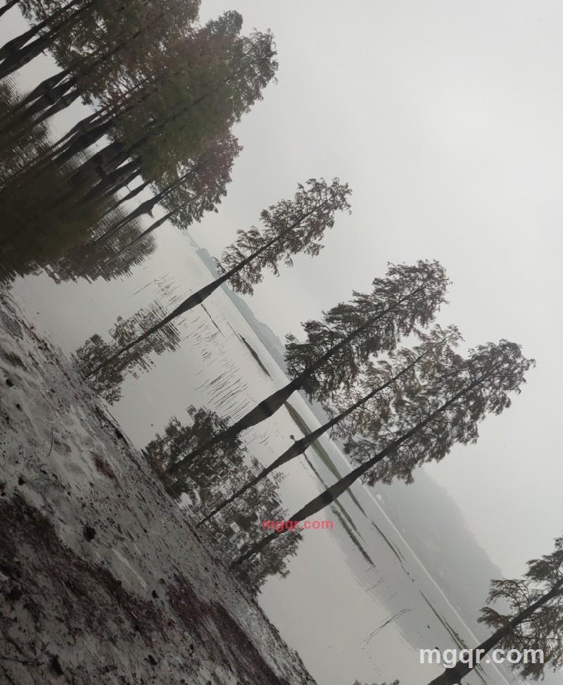 笑笑的第2张照片