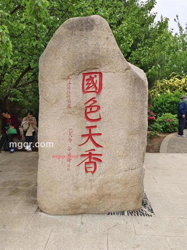 悠悠风情的第3张照片