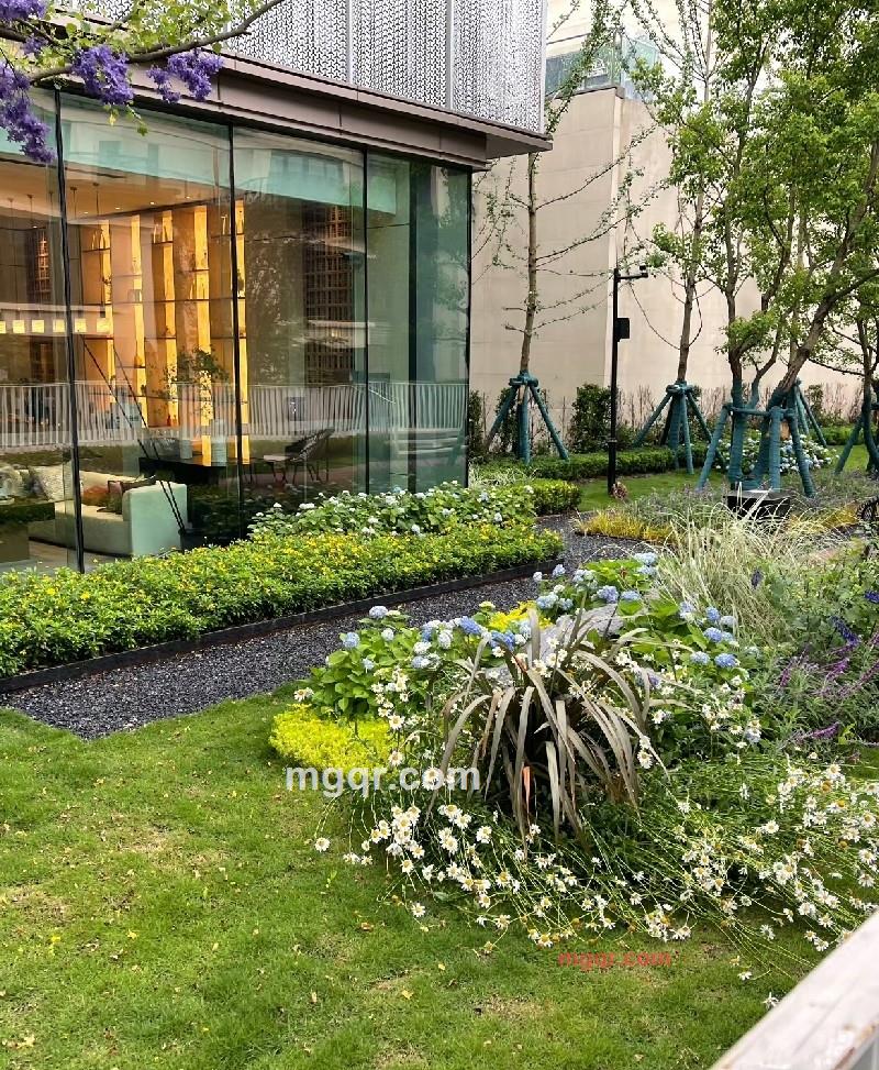 一只小小柚的第1张照片