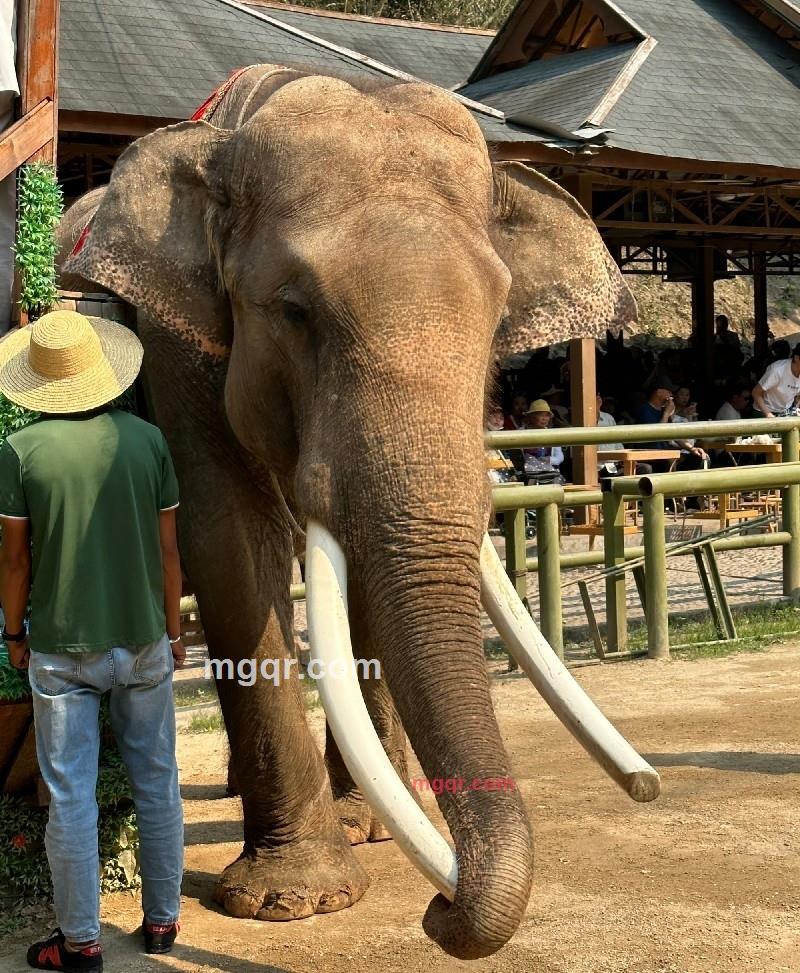 一只小小柚的第2张照片
