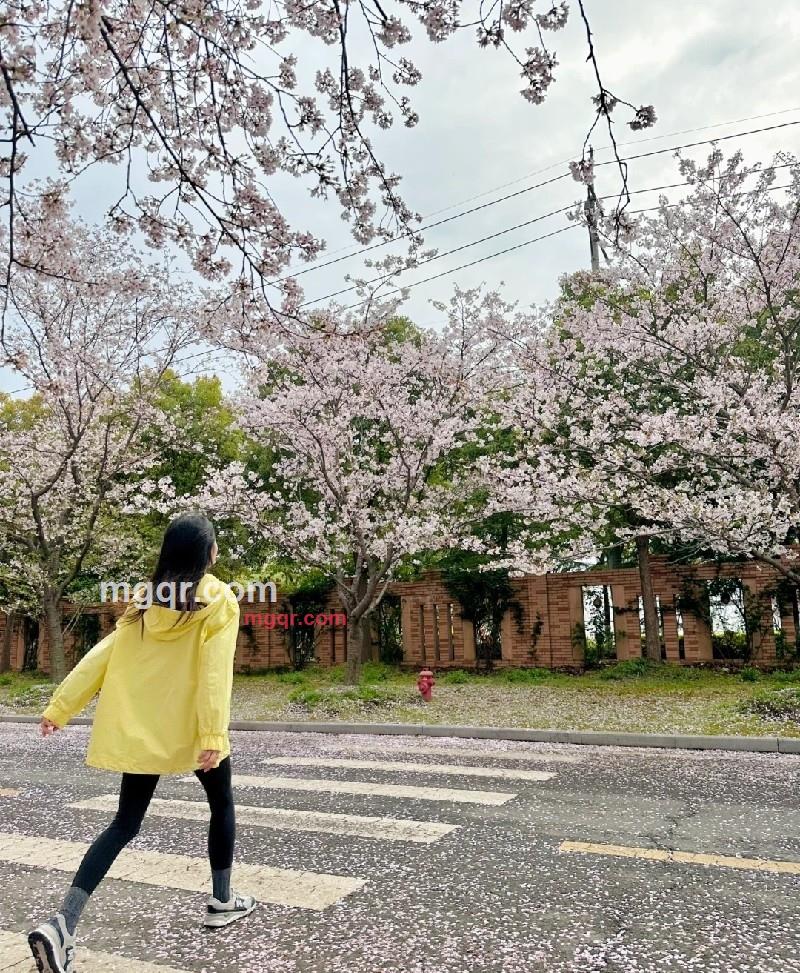 起床困难户的第2张照片