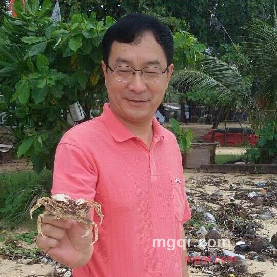 风潮508的第2张照片