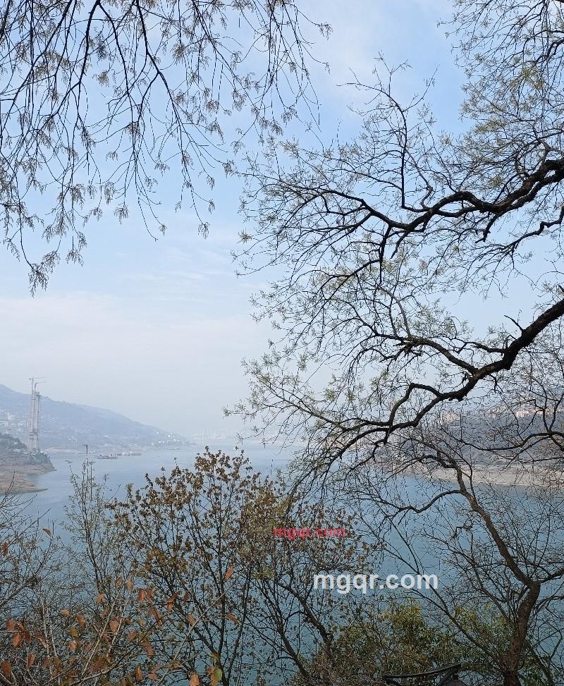 大白的第4张照片