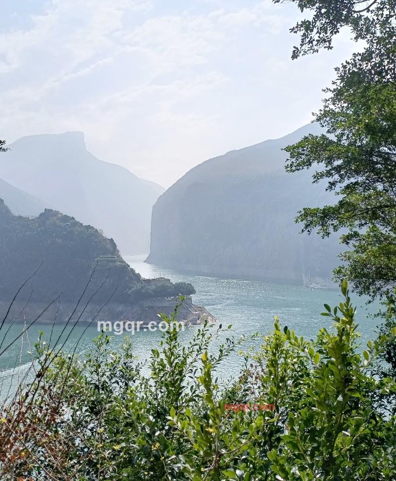 大白的第5张照片