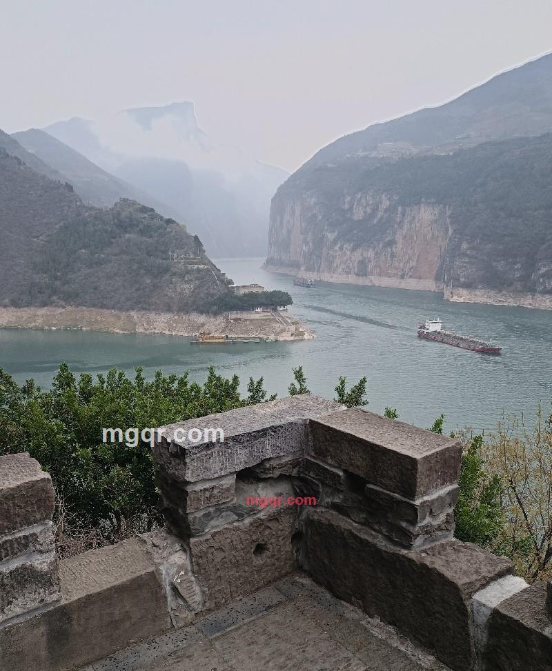 大白的第2张照片