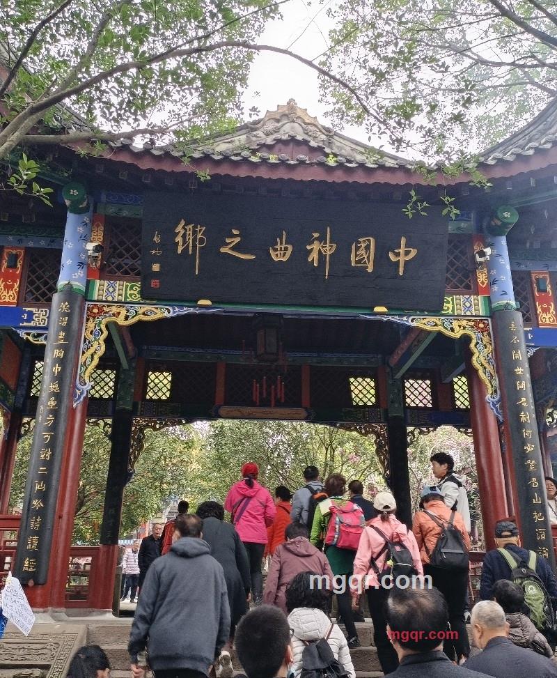 大白的第1张照片