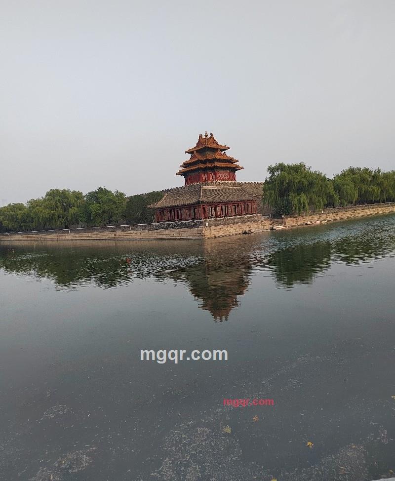 爱玲的第3张照片