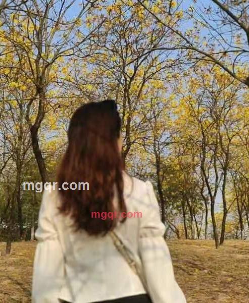 会员5382177的第1张照片