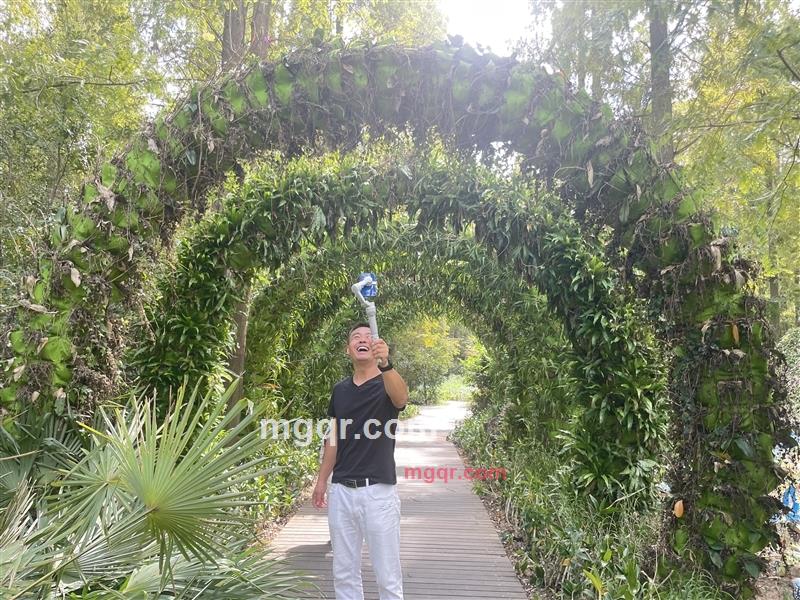 kinghwang的第1张照片