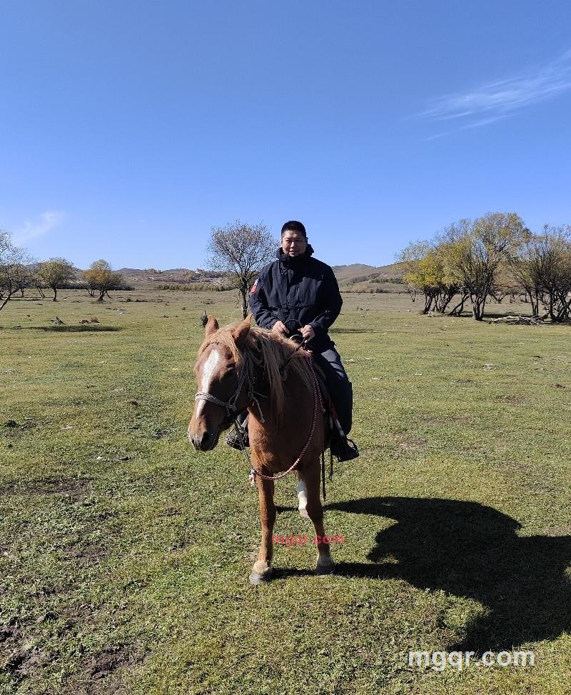 林师傅的第2张照片