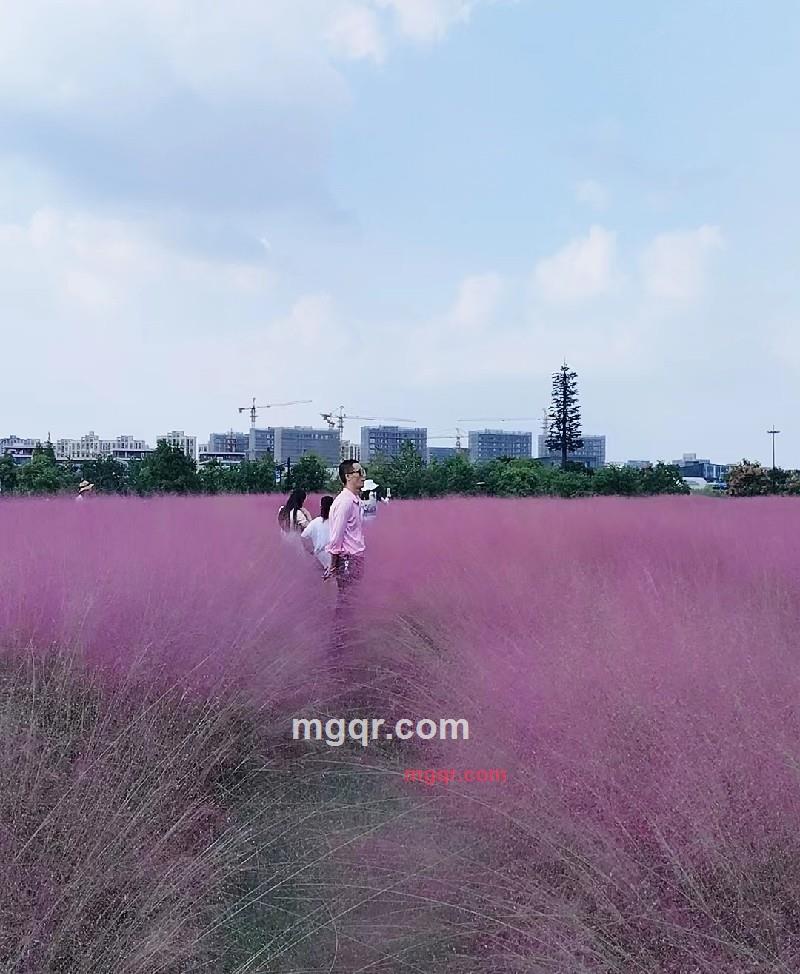 爱拼才会赢的第2张照片