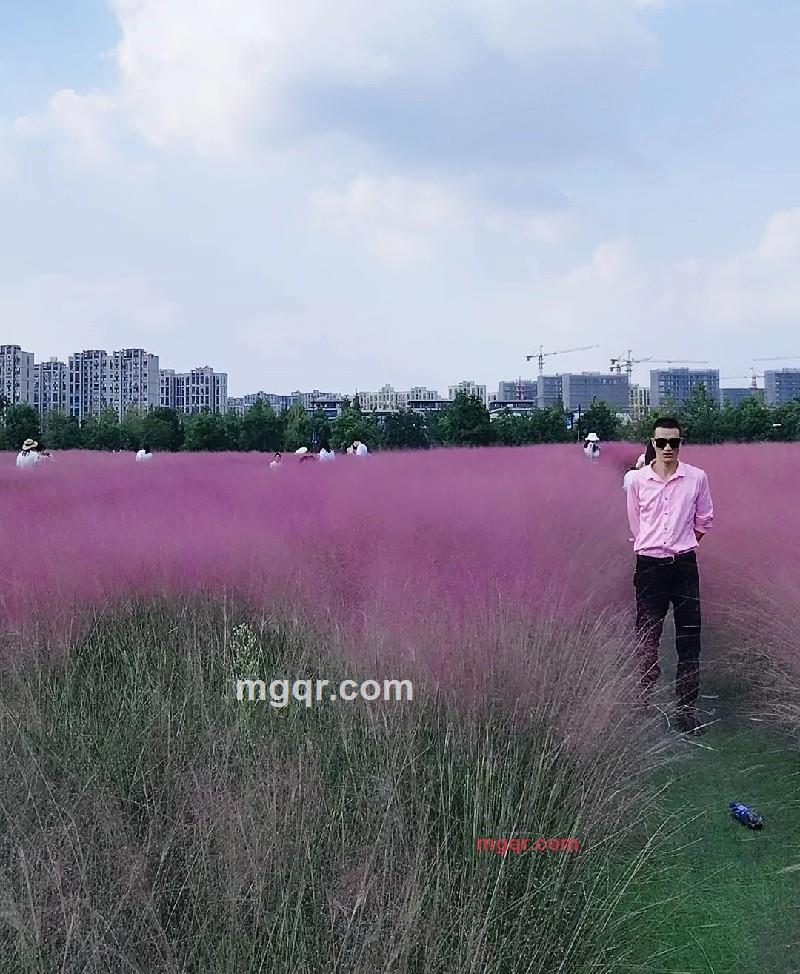 爱拼才会赢的第1张照片