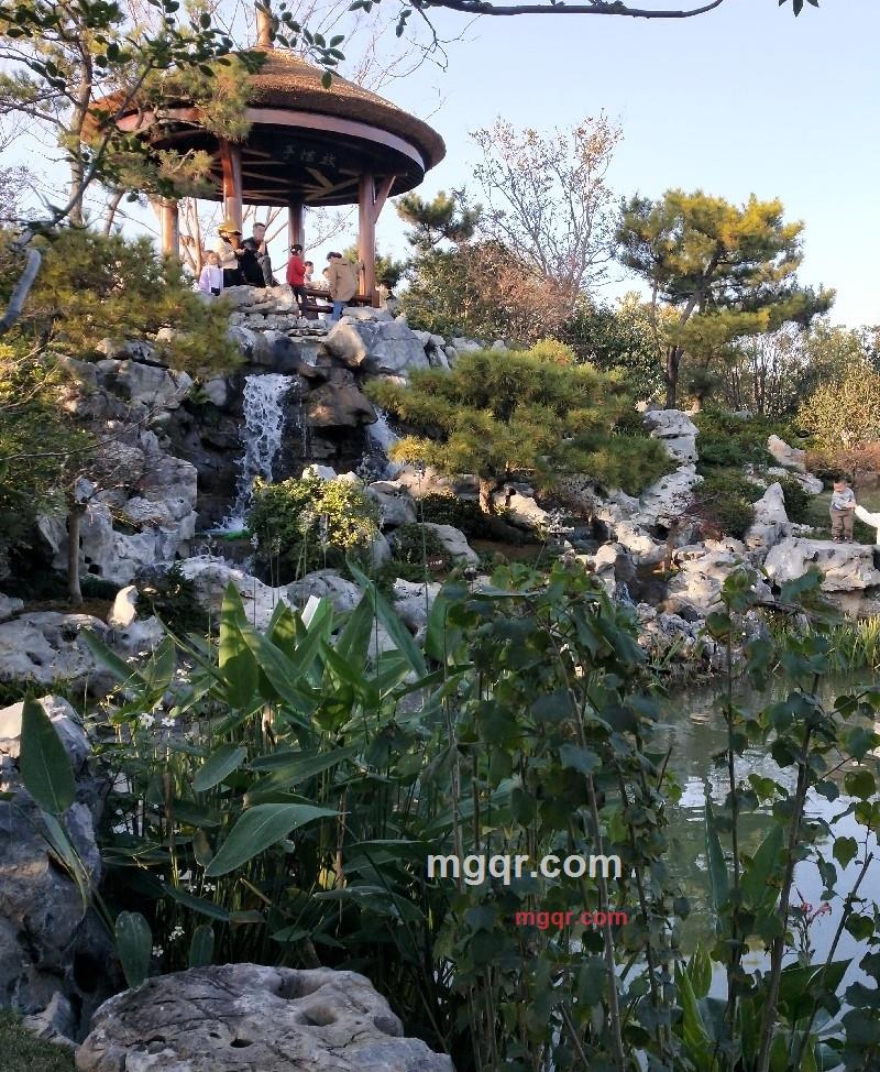 单身寻伴的第1张照片