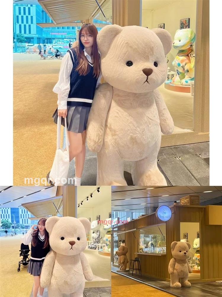 啦流浪猫的第6张照片