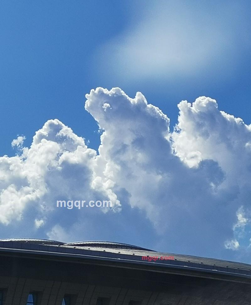 舌头也疯狂的第1张照片