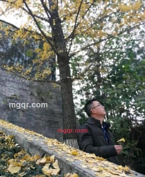 月色朦胧的第1张照片