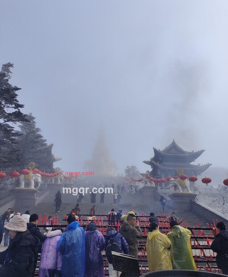 女巫的黑猫的第7张照片
