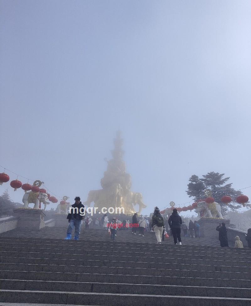 女巫的黑猫的第6张照片