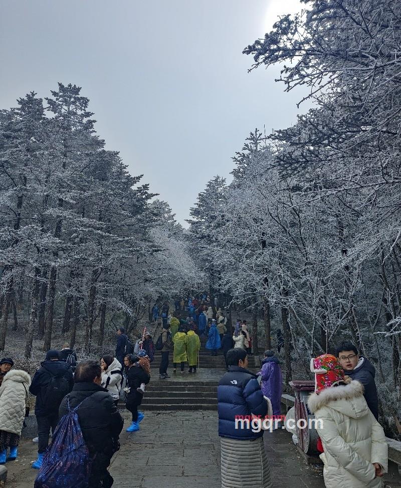 女巫的黑猫的第4张照片