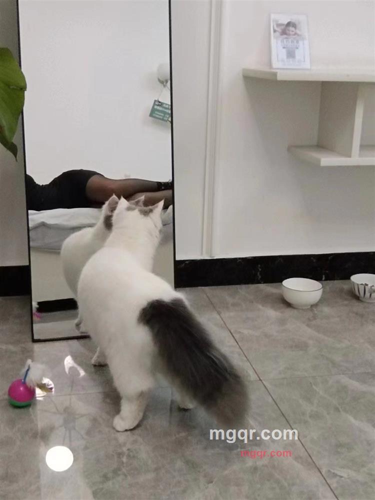 困困魚的第2张照片