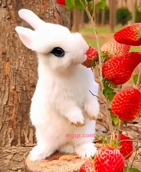 德行天下的第3张照片