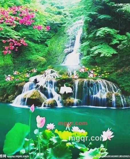 德行天下的第2张照片