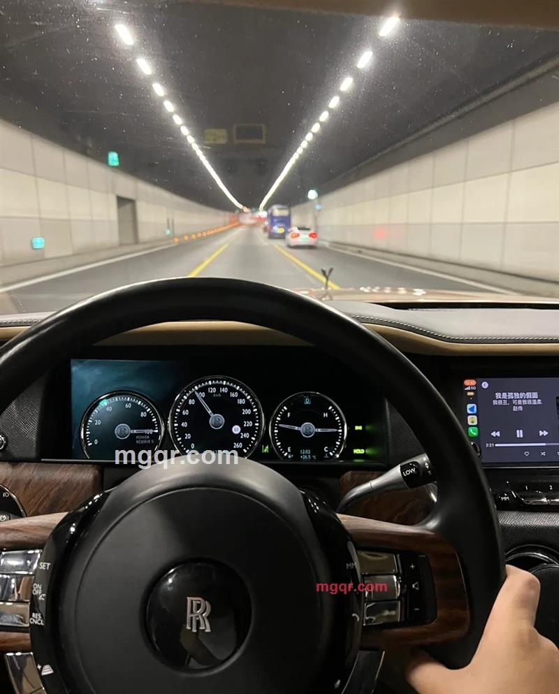 富有男的第6张照片