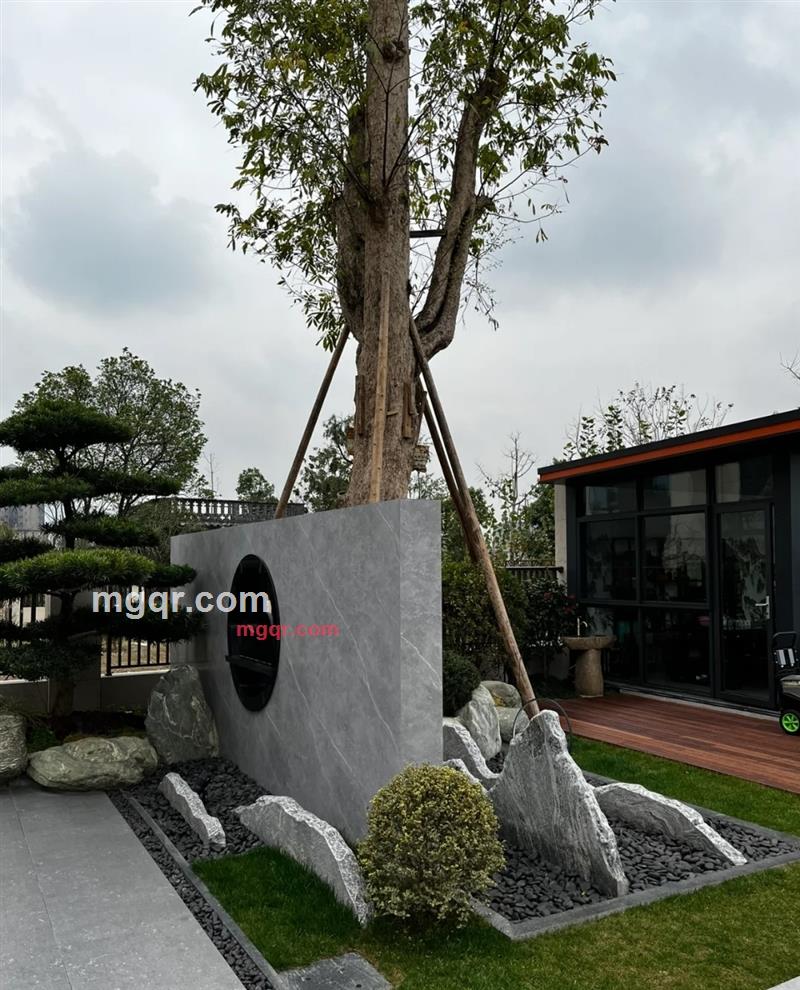 富有男的第4张照片