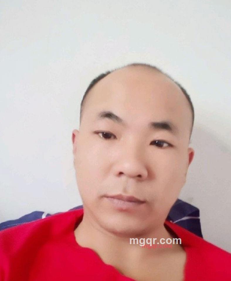 孤独大雁的第1张照片