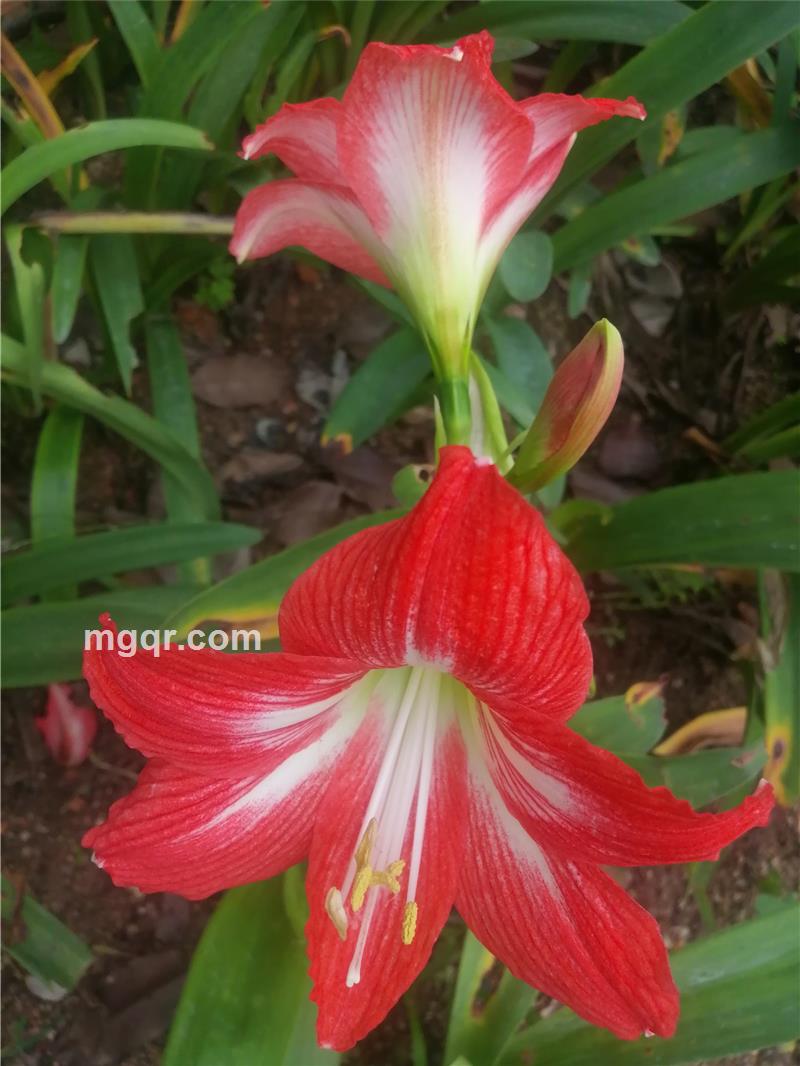 求缘求份的第3张照片