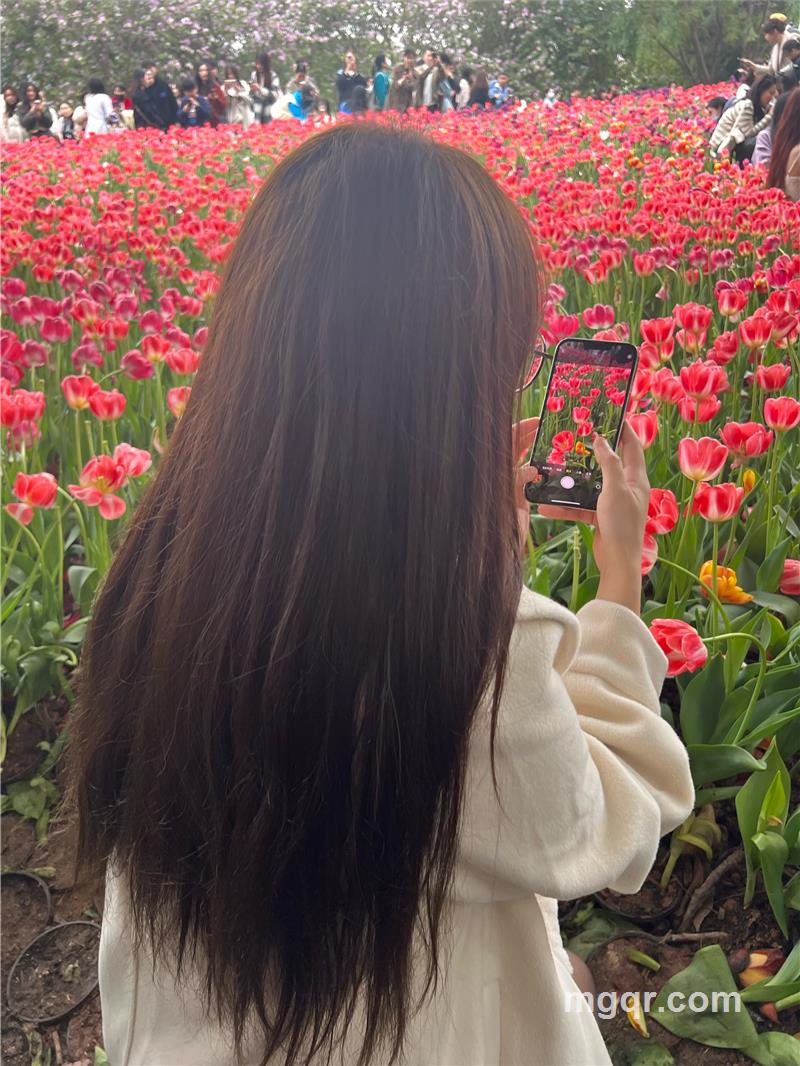 啦流浪猫的第4张照片