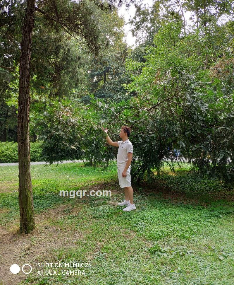 初心不改的第3张照片